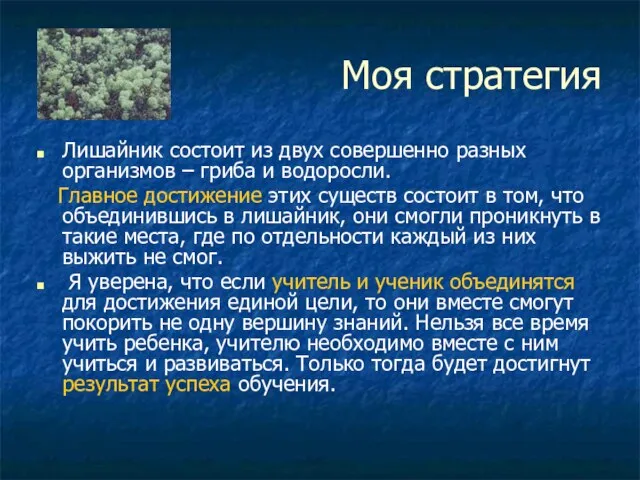 Моя стратегия Лишайник состоит из двух совершенно разных организмов – гриба и