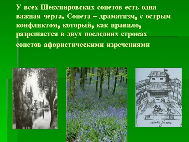 У всех Шекспировских сонетов есть одна важная черта. Сонета – драматизм, с