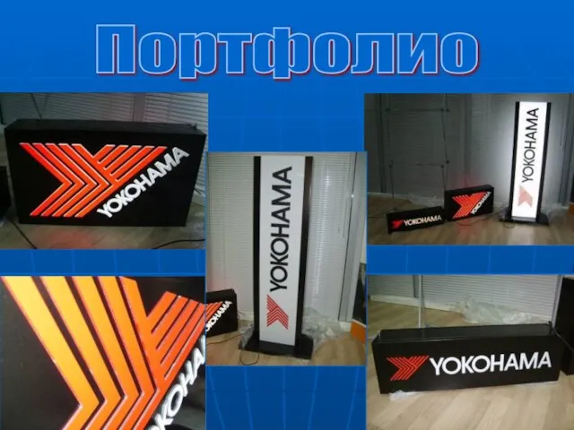 Портфолио