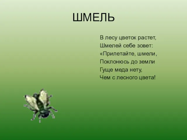 ШМЕЛЬ В лесу цветок растет, Шмелей себе зовет: «Прилетайте, шмели, Поклонюсь до