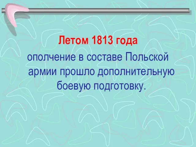 Летом 1813 года ополчение в составе Польской армии прошло дополнительную боевую подготовку.