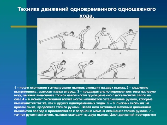 Техника движений одновременного одношажного хода. 1 – после окончания толчка руками лыжник