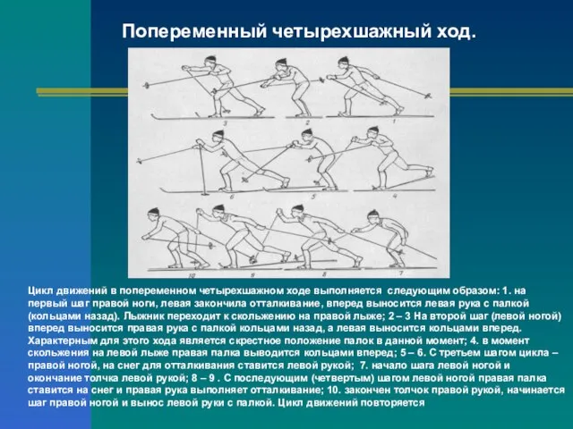 Попеременный четырехшажный ход. Цикл движений в попеременном четырехшажном ходе выполняется следующим образом: