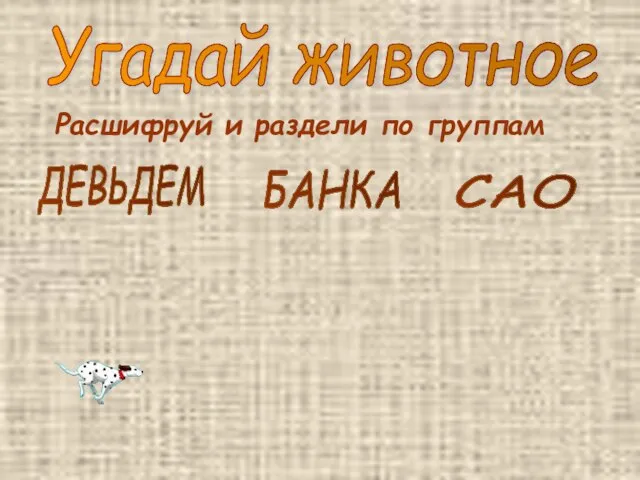 Угадай животное Расшифруй и раздели по группам ДЕВЬДЕМ БАНКА САО