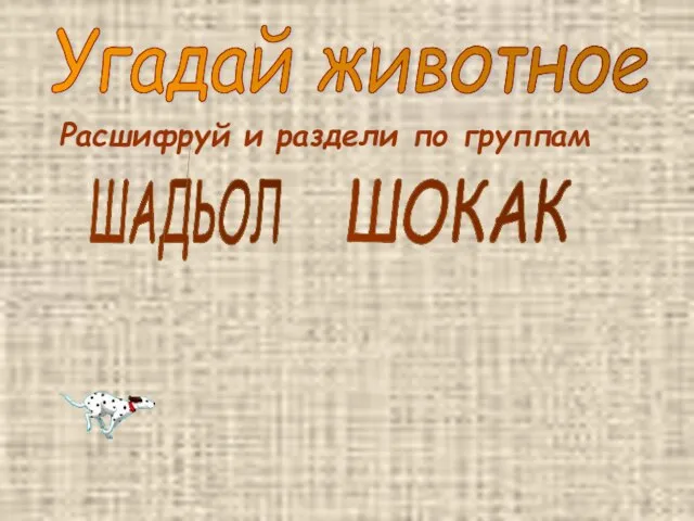 Угадай животное Расшифруй и раздели по группам ШАДЬОЛ ШОКАК