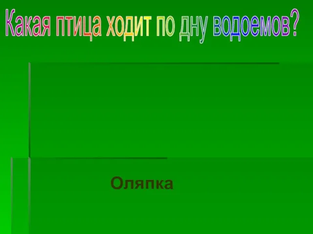 Какая птица ходит по дну водоемов? Оляпка