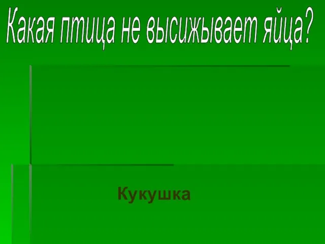 Какая птица не высижывает яйца? Кукушка