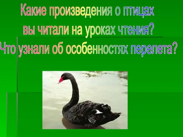 Какие произведения о птицах вы читали на уроках чтения? Что узнали об особенностях перелета?