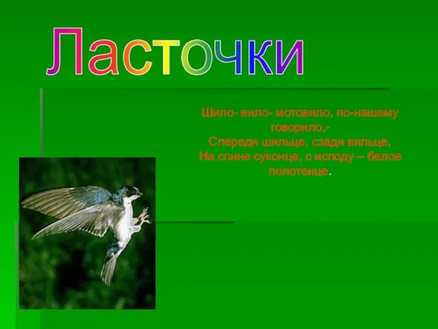 Ласточки Шило- вило- мотовило, по-нашему говорило,- Спереди шильце, сзади вильце, На спине