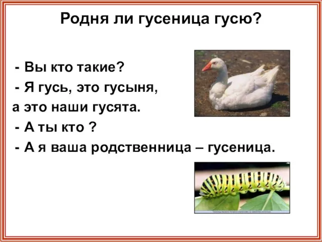 Родня ли гусеница гусю? Вы кто такие? Я гусь, это гусыня, а