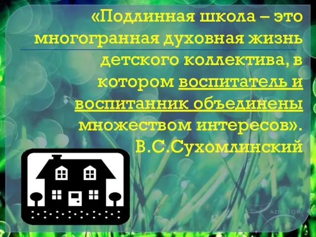 «Подлинная школа – это многогранная духовная жизнь детского коллектива, в котором воспитатель