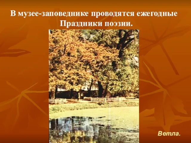 В музее-заповеднике проводятся ежегодные Праздники поэзии. Ветла.