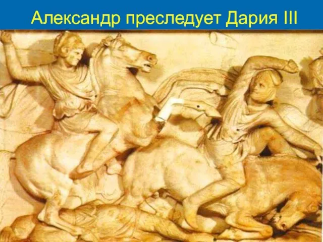 Александр преследует Дария III