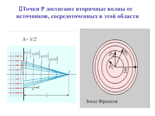 Точки Р достигают вторичные волны от источников, сосредоточенных в этой области Зоны Френеля Δ= λ\2