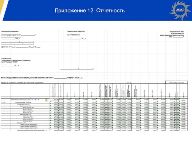 Приложение 12. Отчетность