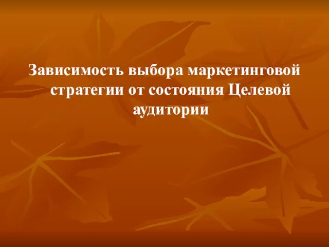 Зависимость выбора маркетинговой стратегии от состояния Целевой аудитории