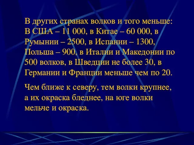 В других странах волков и того меньше: В США – 11 000,