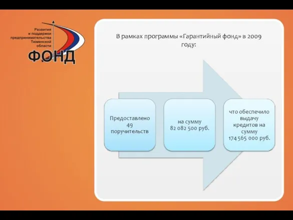 В рамках программы «Гарантийный фонд» в 2009 году: