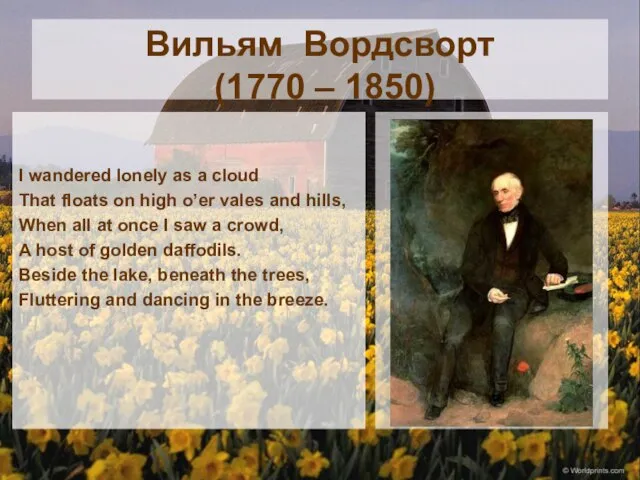 Вильям Вордсворт (1770 – 1850) I wandered lonely as a cloud That