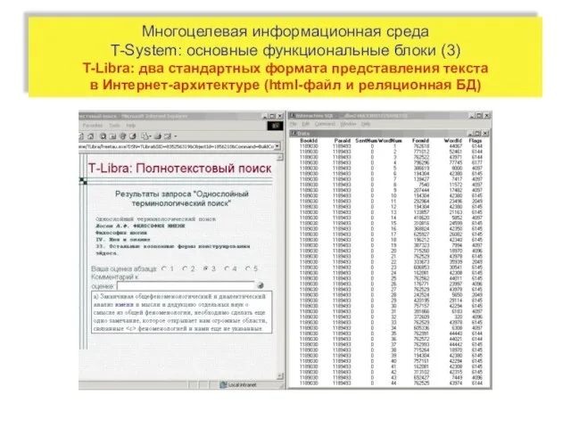 Многоцелевая информационная среда T-System: основные функциональные блоки (3) T-Libra: два стандартных формата