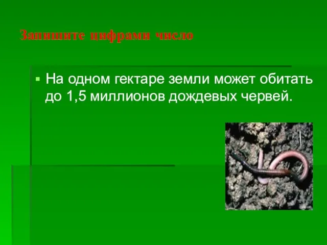 Запишите цифрами число На одном гектаре земли может обитать до 1,5 миллионов дождевых червей.