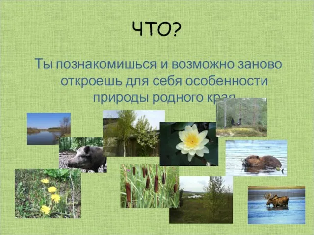 ЧТО? Ты познакомишься и возможно заново откроешь для себя особенности природы родного края