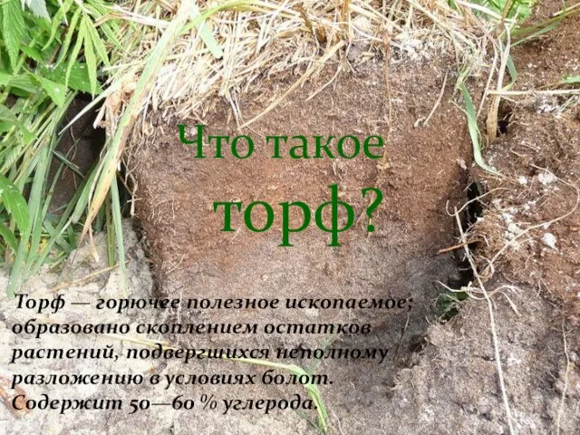 Торф — горючее полезное ископаемое; образовано скоплением остатков растений, подвергшихся неполному разложению