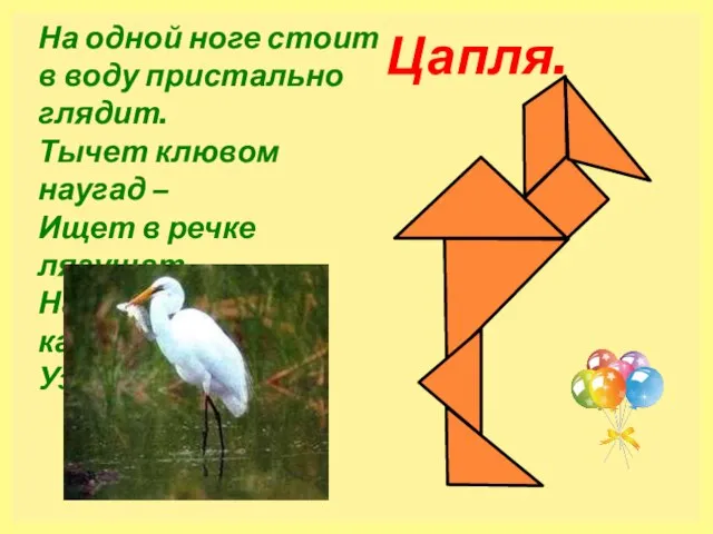 На одной ноге стоит в воду пристально глядит. Тычет клювом наугад –