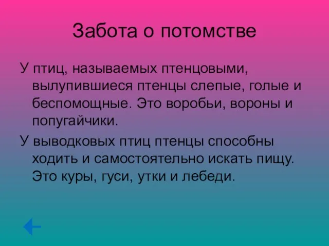 Забота о потомстве У птиц, называемых птенцовыми, вылупившиеся птенцы слепые, голые и