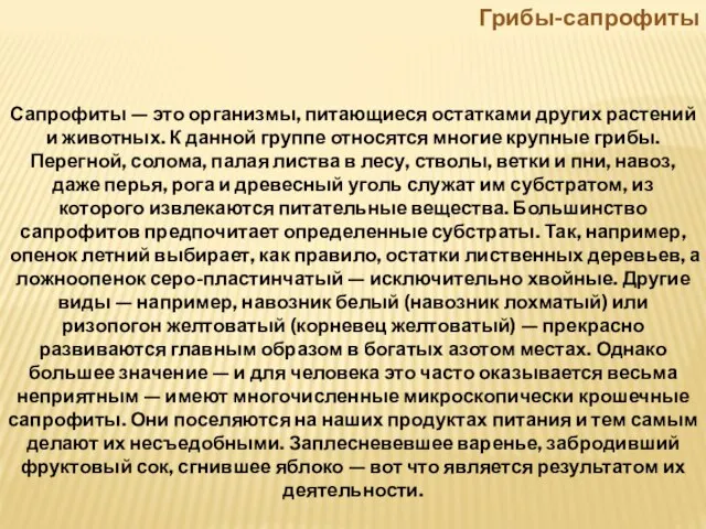 Грибы-сапрофиты Сапрофиты — это организмы, питающиеся остатками других растений и животных. К