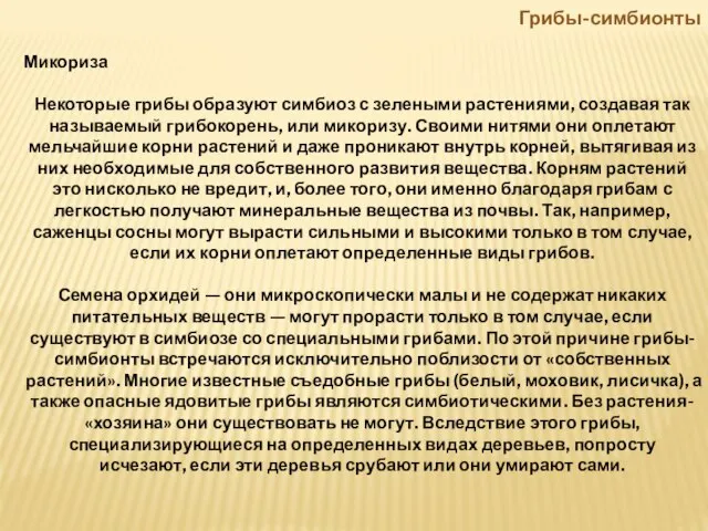 Грибы-симбионты Микориза Некоторые грибы образуют симбиоз с зелеными растениями, создавая так называемый