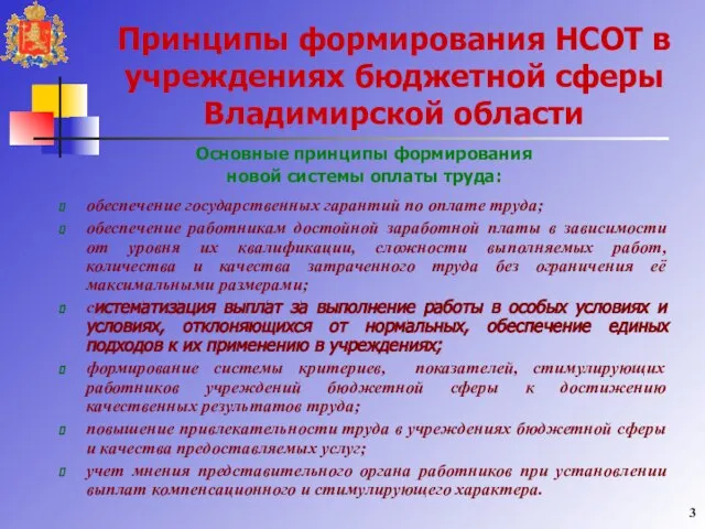 Принципы формирования НСОТ в учреждениях бюджетной сферы Владимирской области Основные принципы формирования