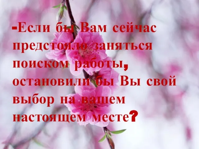 -Если бы Вам сейчас предстояло заняться поиском работы, остановили бы Вы свой