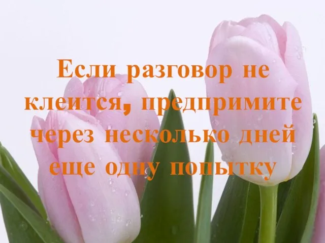 Если разговор не клеится, предпримите через несколько дней еще одну попытку