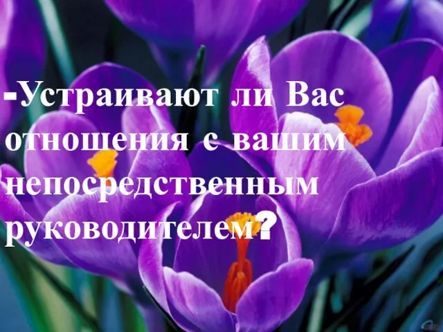 -Устраивают ли Вас отношения с вашим непосредственным руководителем?