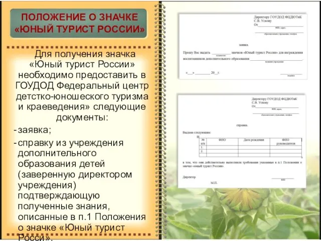 Для получения значка «Юный турист России» необходимо предоставить в ГОУДОД Федеральный центр