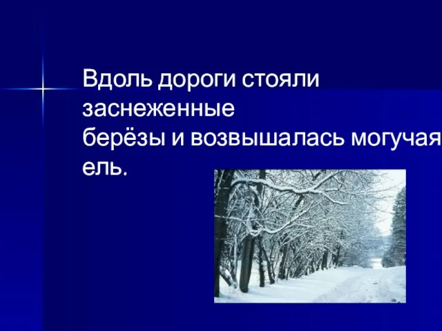 Вдоль дороги стояли заснеженные берёзы и возвышалась могучая ель.