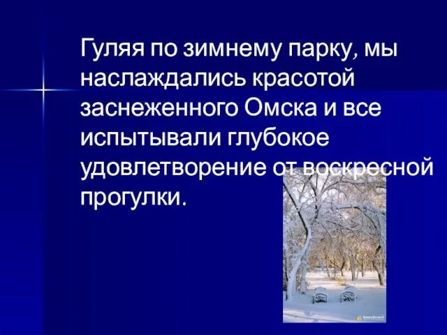 Гуляя по зимнему парку, мы наслаждались красотой заснеженного Омска и все испытывали