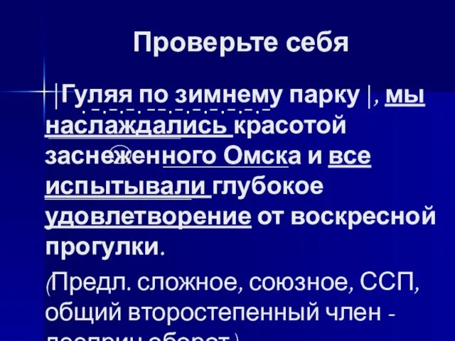 Проверьте себя |Гуляя по зимнему парку|, мы наслаждались красотой заснеженного Омска и