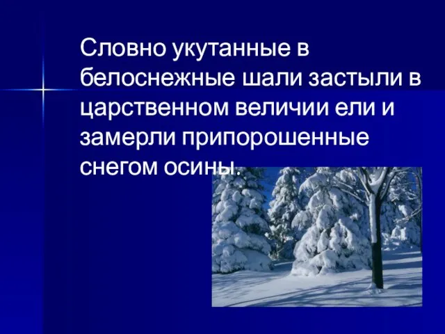 Словно укутанные в белоснежные шали застыли в царственном величии ели и замерли припорошенные снегом осины.