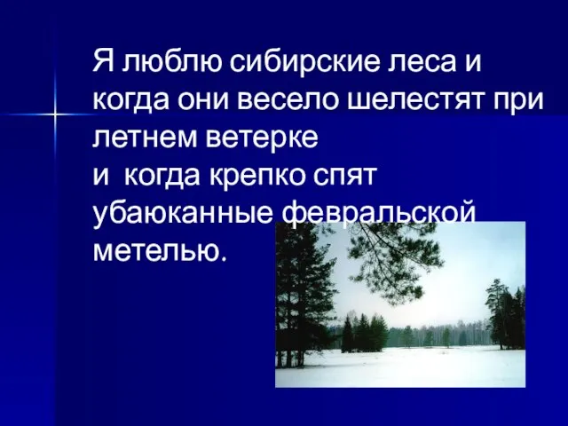 Я люблю сибирские леса и когда они весело шелестят при летнем ветерке