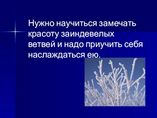 Нужно научиться замечать красоту заиндевелых ветвей и надо приучить себя наслаждаться ею.