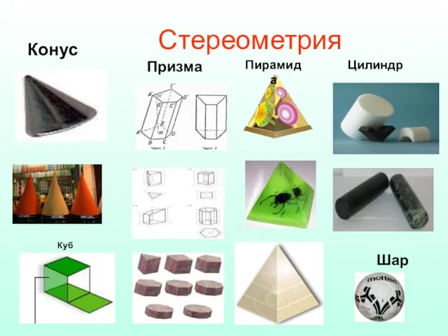 Стереометрия Конус Призма Пирамида Цилиндр Шар Куб