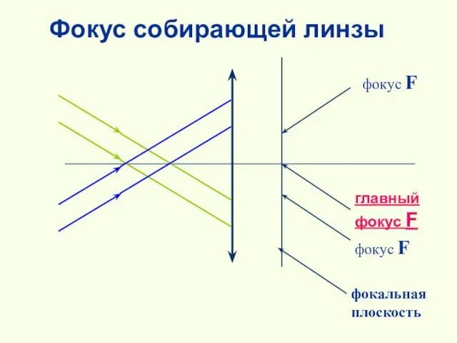 Фокус собирающей линзы фокальная плоскость фокус F главный фокус F фокус F