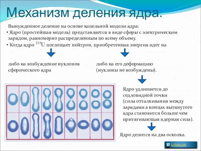 Вынужденное деление на основе капельной модели ядра: Ядро (простейшая модель) представляется в