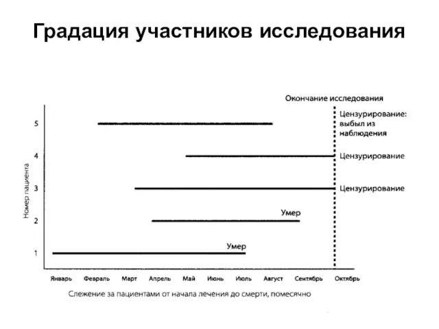 Градация участников исследования