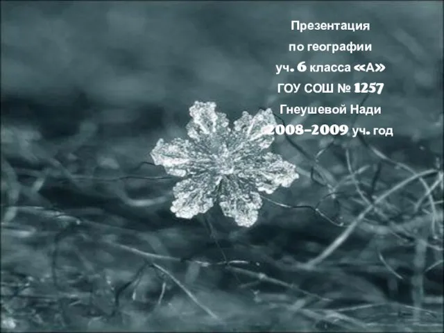 Презентация по географии уч. 6 класса «А» ГОУ СОШ № 1257 Гнеушевой Нади 2008-2009 уч. год