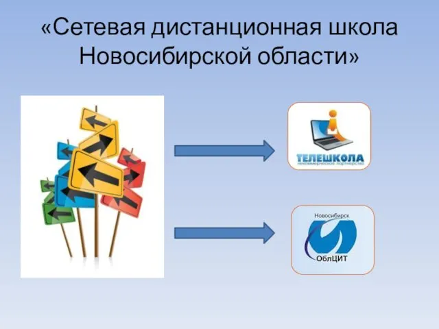 «Сетевая дистанционная школа Новосибирской области»