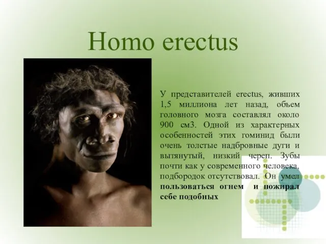 Homo erectus У представителей erectus, живших 1,5 миллиона лет назад, объем головного