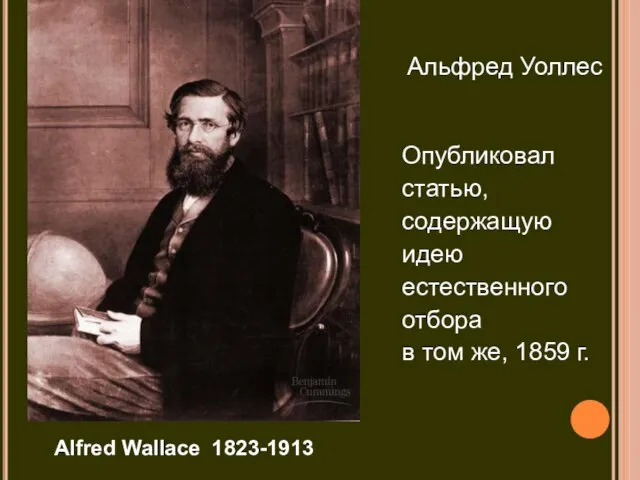 Alfred Wallace 1823-1913 Опубликовал статью, содержащую идею естественного отбора в том же, 1859 г. Альфред Уоллес